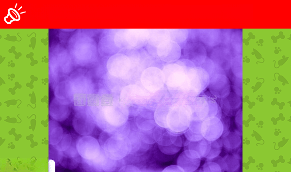 LOST DOG: Erer - Alexandra, GP (June 6, 2025)